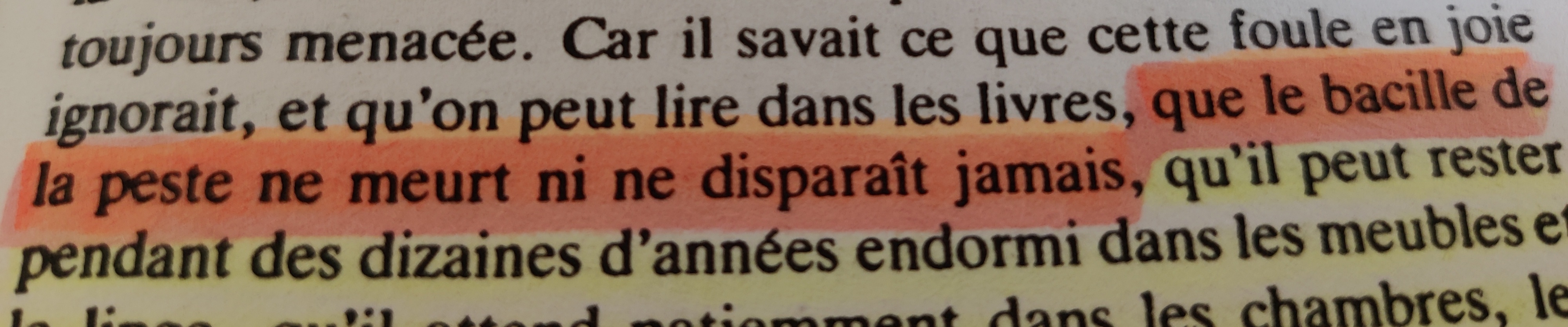 BacilleDeLaPeste